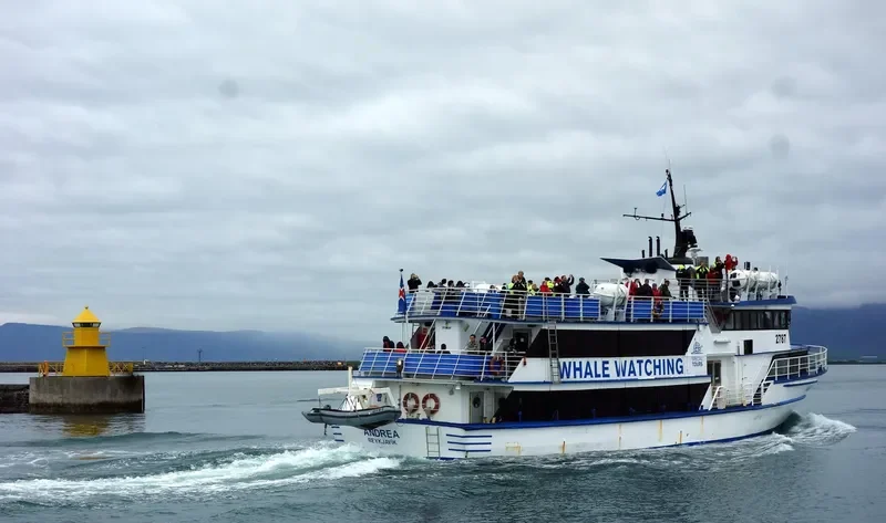 ANDREA Passenger Vessel IMO 7222231 photo 3