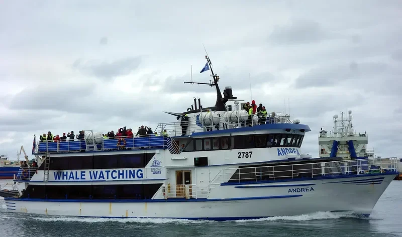 ANDREA Passenger Vessel IMO 7222231 photo 4