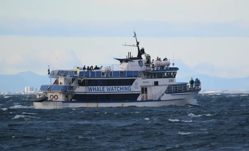 ANDREA Passenger Vessel IMO 7222231 photo 8