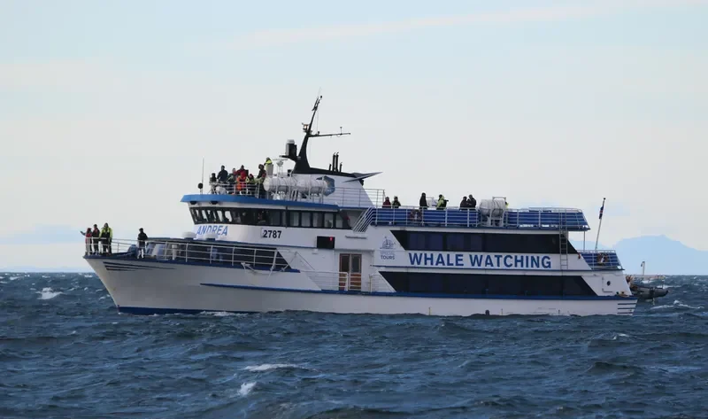 ANDREA Passenger Vessel IMO 7222231 photo 9