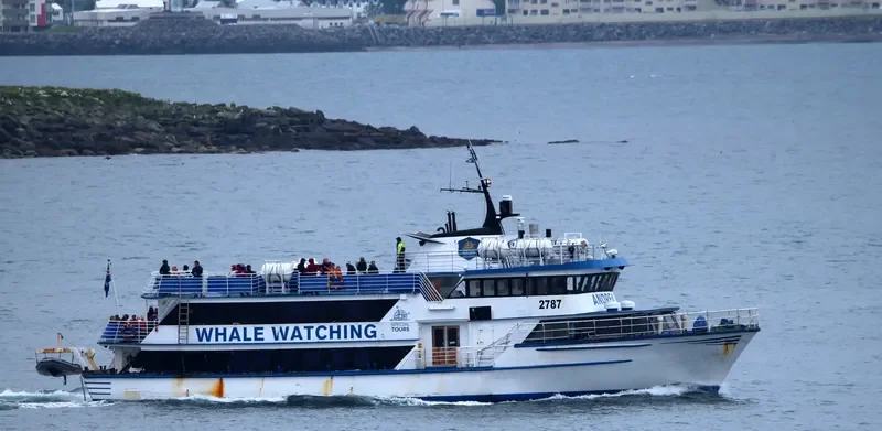 ANDREA Passenger Vessel IMO 7222231 photo 10