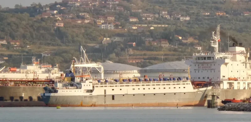 MARIONA STAR General Cargo IMO 7222982 photo 2