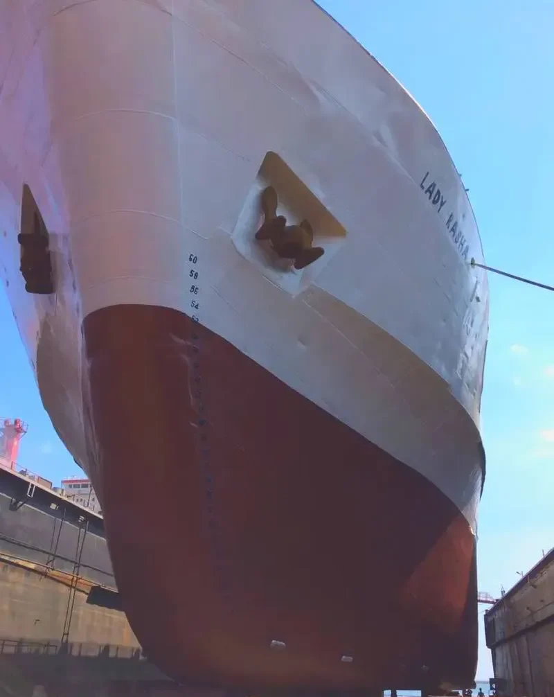 LADY RASHA General Cargo IMO 7223041 photo 2
