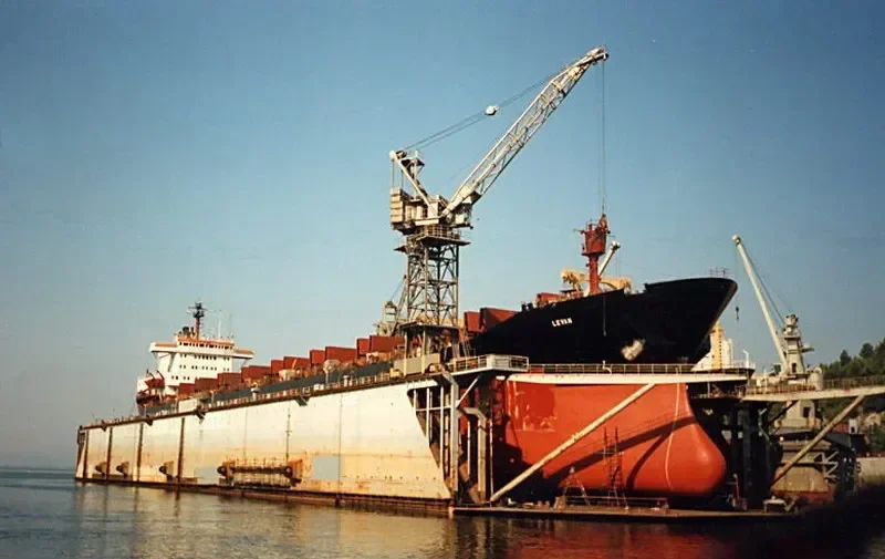 LEGEND I Bulk Carrier IMO 7223132 photo 2
