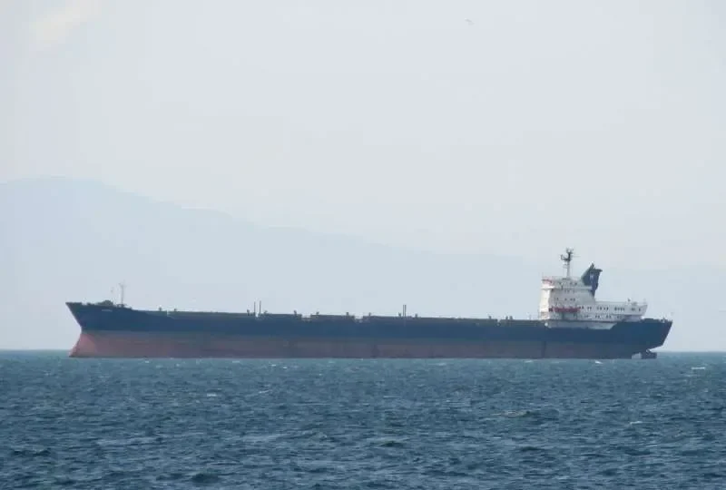 RONGA Bulk Carrier IMO 7223144 photo 6
