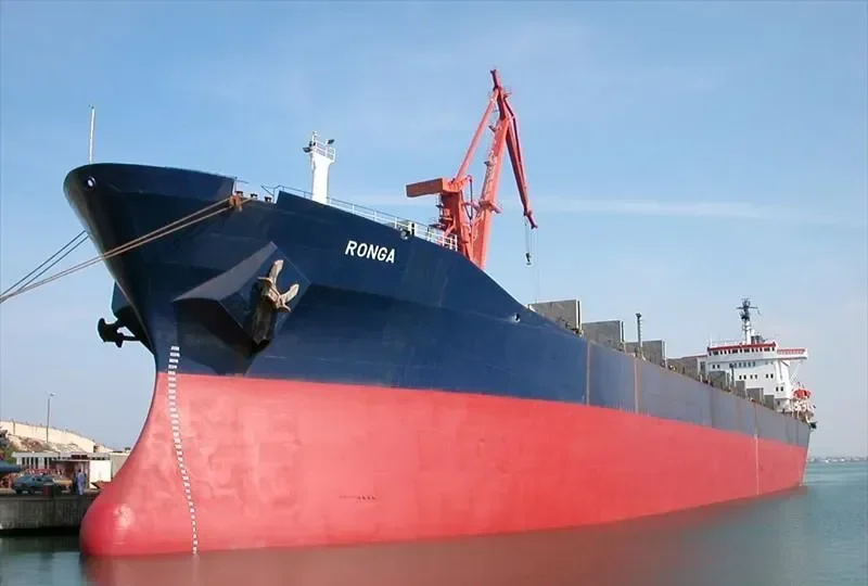 RONGA Bulk Carrier IMO 7223144 photo 7