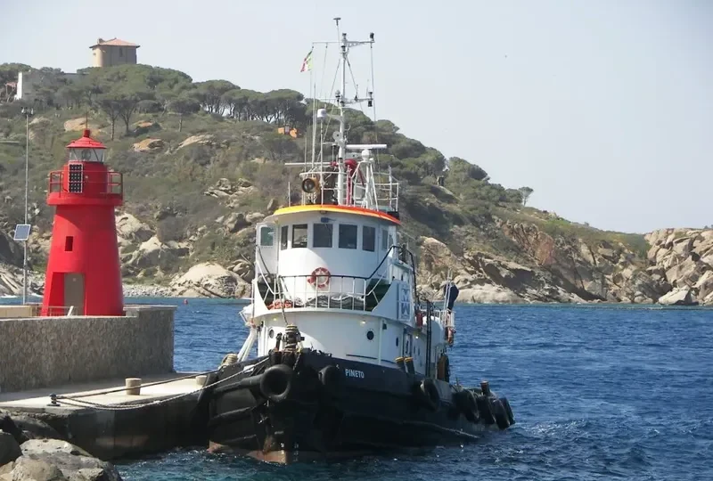 PINETO General Cargo IMO 7224162
