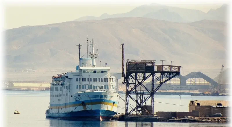 RAHAL Ro-Ro IMO 7224370 photo 4
