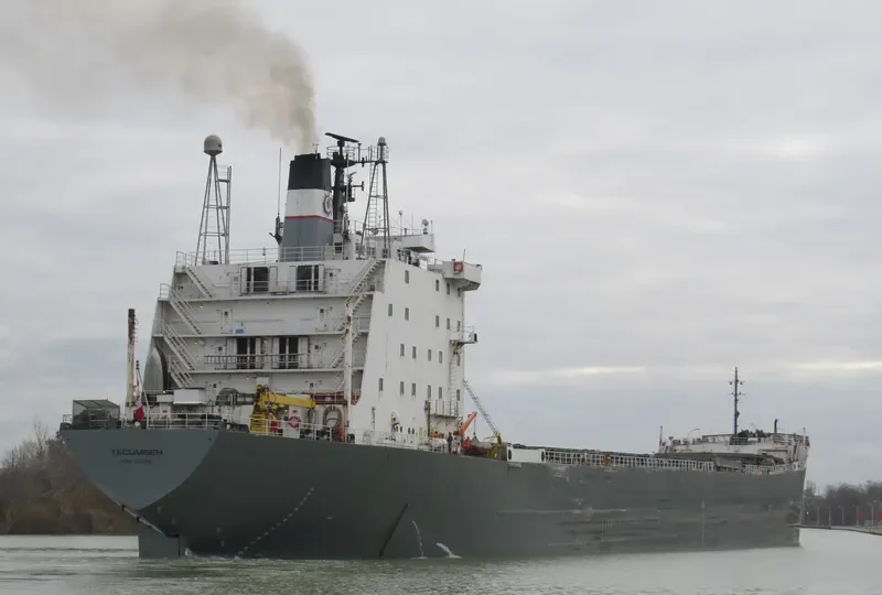 TECUMSEH Bulk Carrier IMO 7225855 photo 2