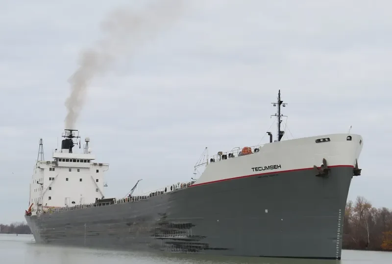 TECUMSEH Bulk Carrier IMO 7225855 photo 3