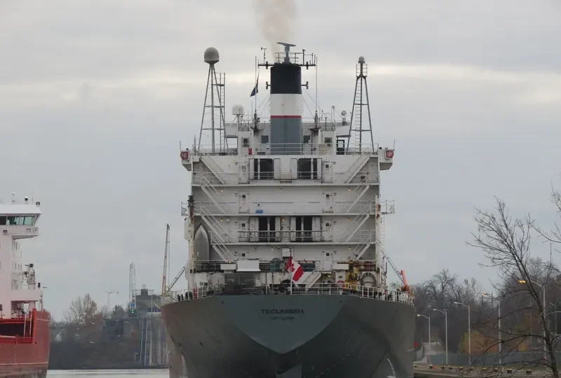 TECUMSEH Bulk Carrier IMO 7225855 photo 4