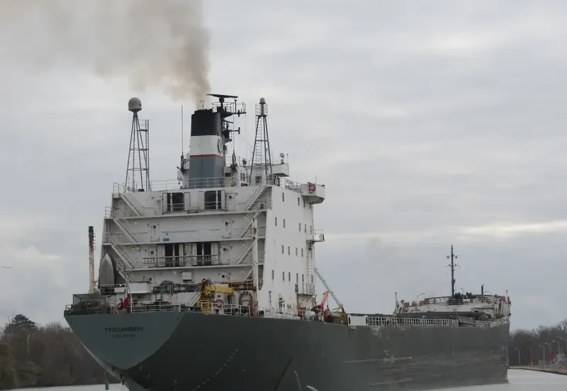 TECUMSEH Bulk Carrier IMO 7225855 photo 5