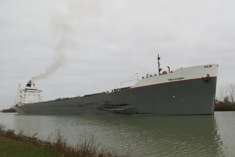 TECUMSEH Bulk Carrier IMO 7225855 photo 7