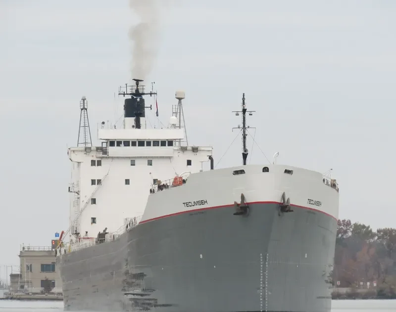 TECUMSEH Bulk Carrier IMO 7225855 photo 8