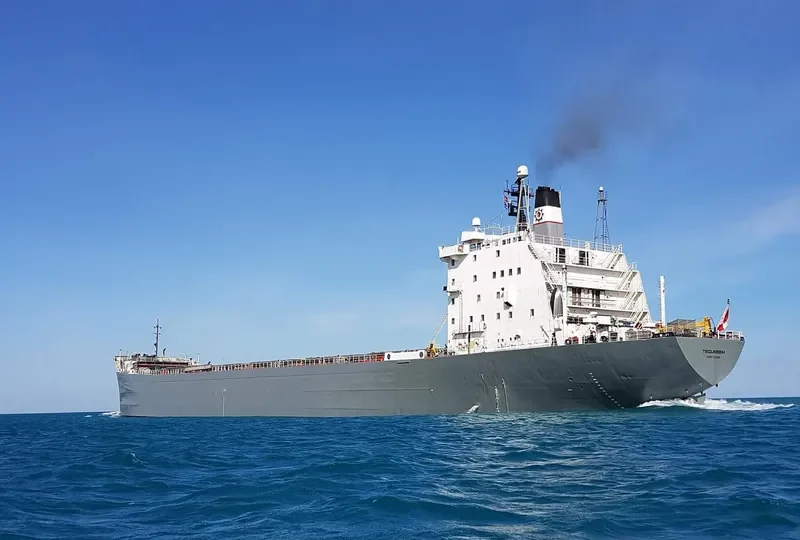TECUMSEH Bulk Carrier IMO 7225855 photo 9