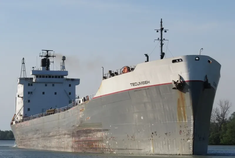 TECUMSEH Bulk Carrier IMO 7225855 photo 10