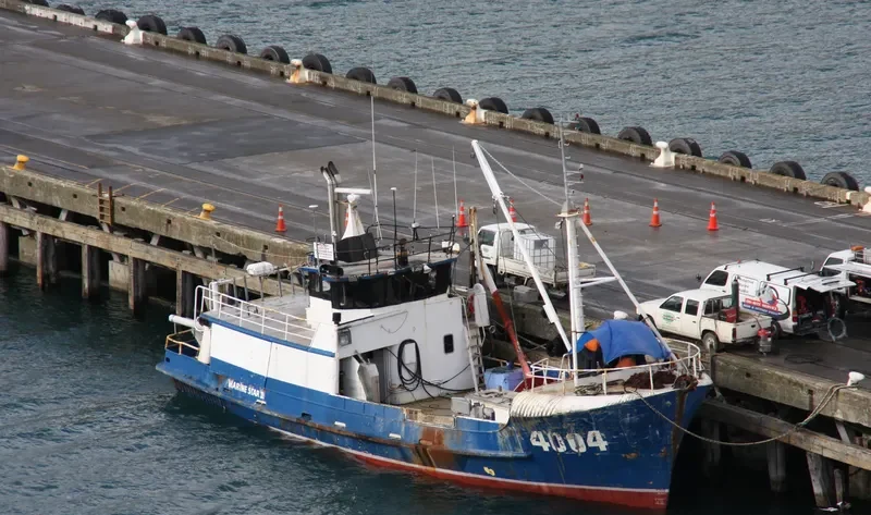 MARINE STAR II General Cargo IMO 7226017 photo 2