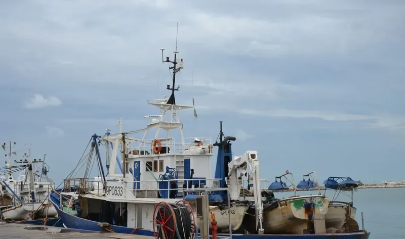 CITTA DI LIVORNO General Cargo IMO 7226378 photo 2