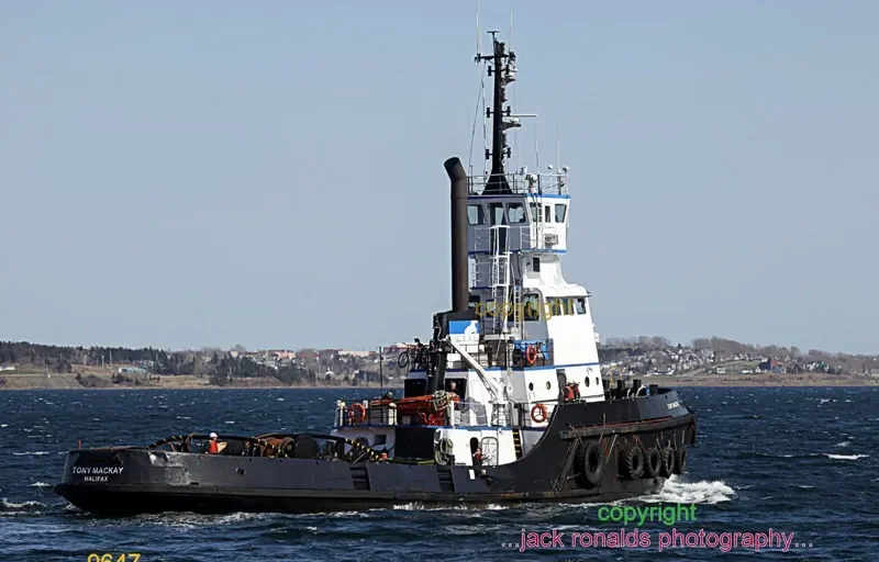 TONY MACKAY General Cargo IMO 7227786 photo 9