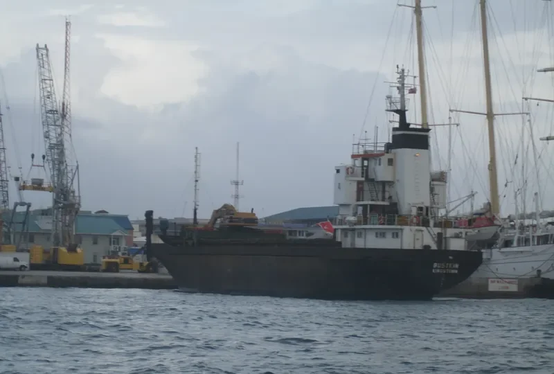 BUSTEIN General Cargo IMO 7228297