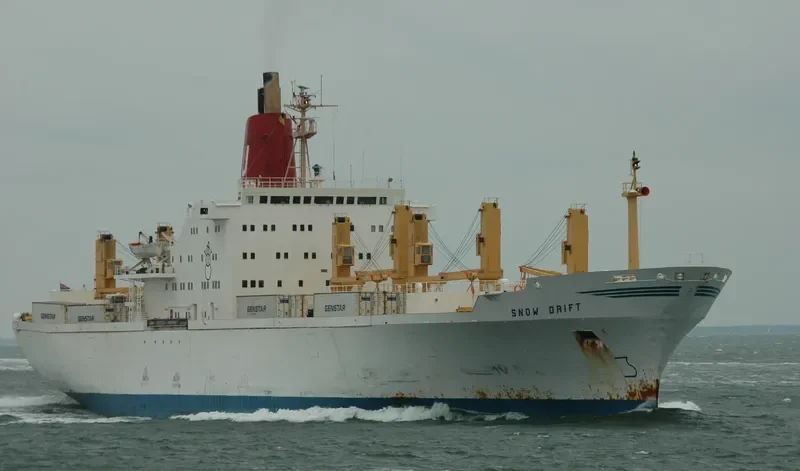 SNOW DRIFT General Cargo IMO 7228302 photo 9