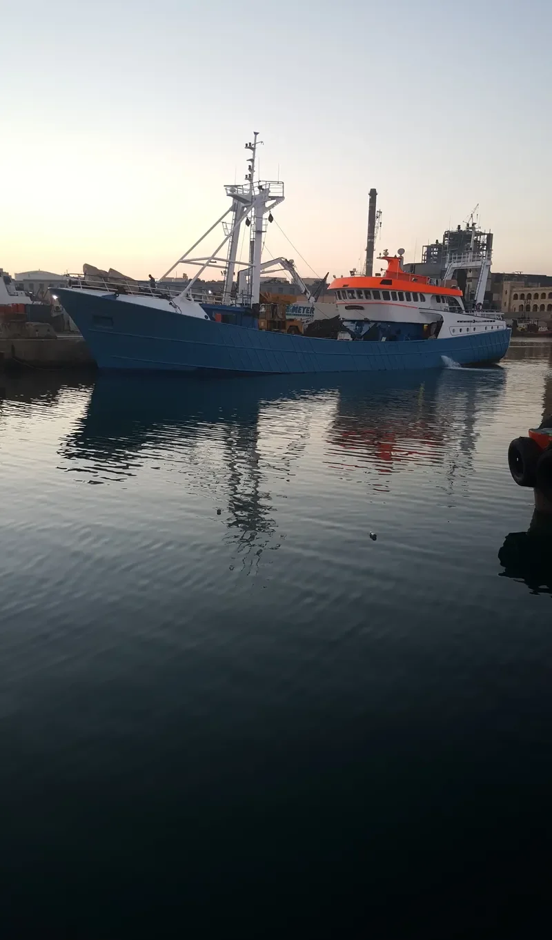 BERENDINA HERMINA General Cargo IMO 7228651
