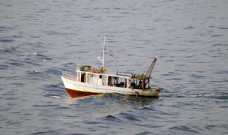 ALGA General Cargo IMO 7228986