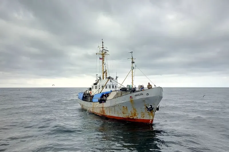NIKEL General Cargo IMO 7229033