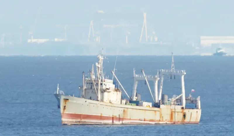 PROLIV LONGA General Cargo IMO 7229320 photo 10