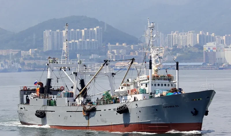 CAROLINA 33 General Cargo IMO 7229344 photo 3