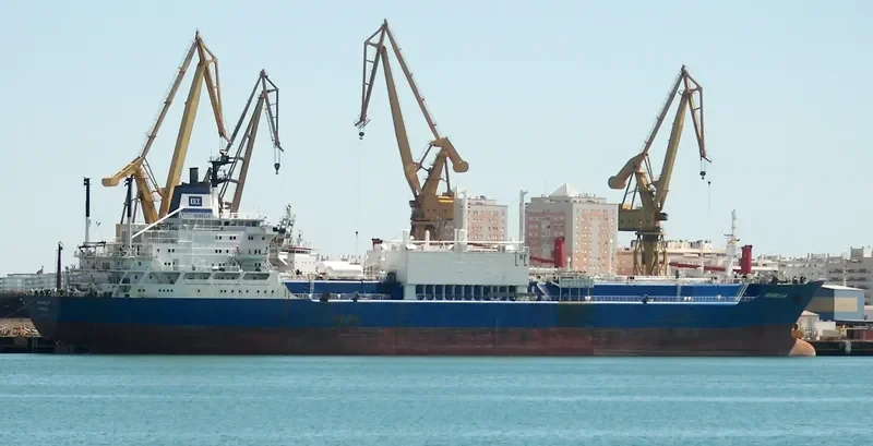 MARISA General Cargo IMO 7229447 photo 6