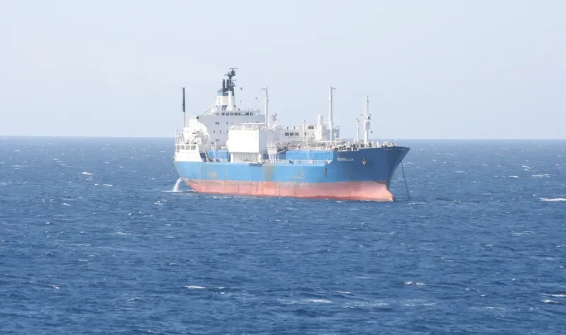 MARISA General Cargo IMO 7229447 photo 9