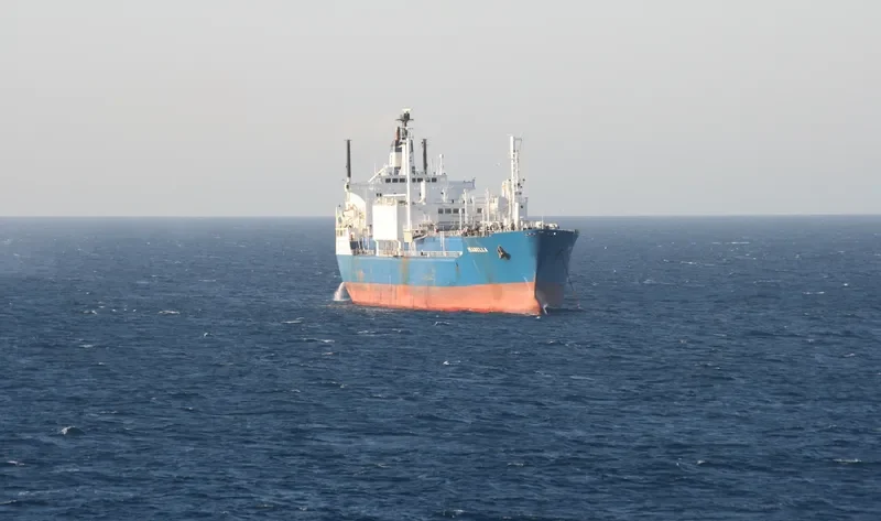 MARISA General Cargo IMO 7229447 photo 10