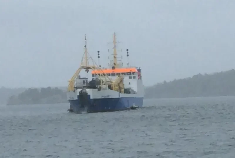 PLEIJEL General Cargo IMO 7229502 photo 4