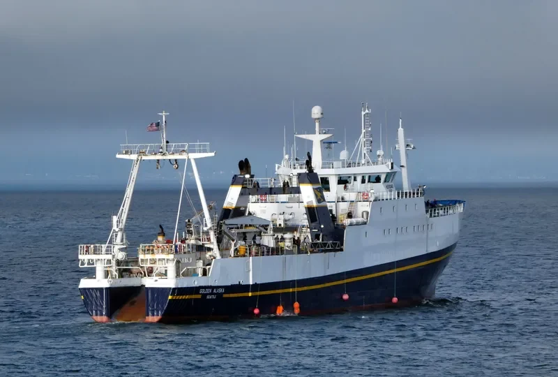GOLDEN ALASKA General Cargo IMO 7229710 photo 2