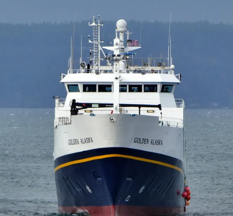 GOLDEN ALASKA General Cargo IMO 7229710 photo 5