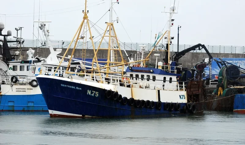GV DILIGENT General Cargo IMO 7229746 photo 2