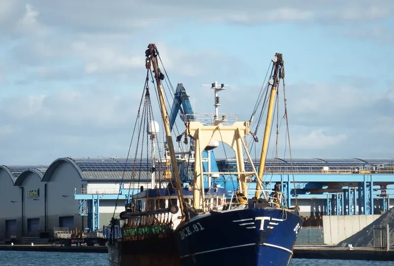 KESTREL General Cargo IMO 7230147 photo 3
