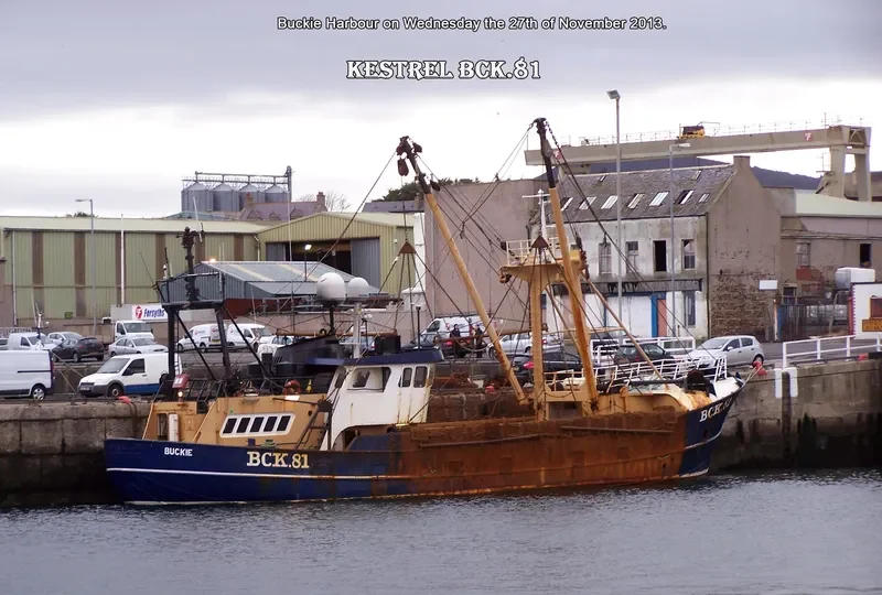 KESTREL General Cargo IMO 7230147 photo 6
