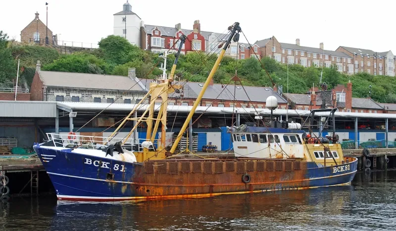 KESTREL General Cargo IMO 7230147 photo 8