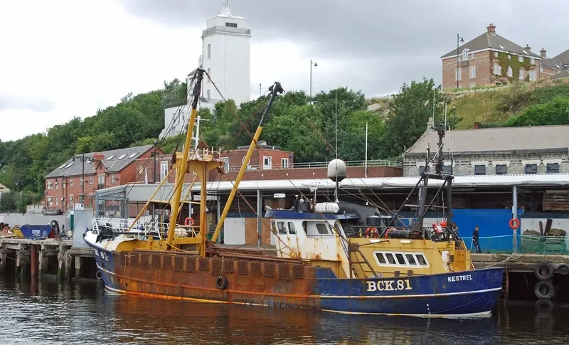 KESTREL General Cargo IMO 7230147 photo 9