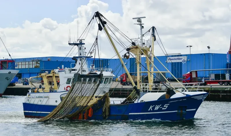 DSA 2 General Cargo IMO 7230159 photo 3