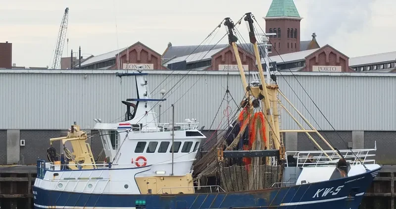 DSA 2 General Cargo IMO 7230159 photo 4