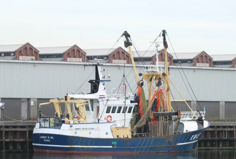 DSA 2 General Cargo IMO 7230159 photo 5