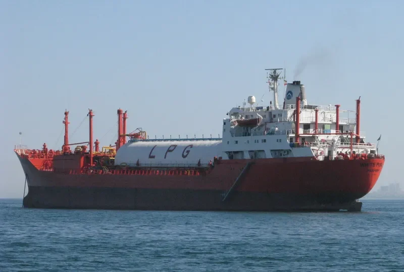 WHITE PURL General Cargo IMO 7230666 photo 4