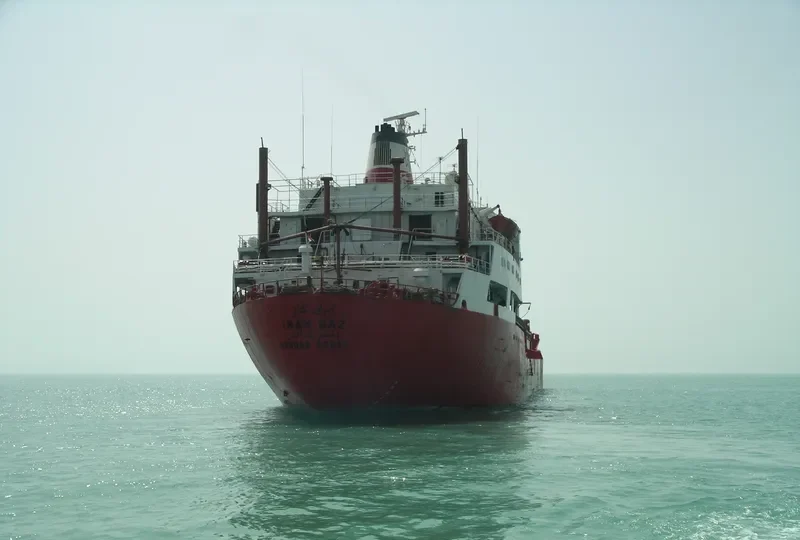 WHITE PURL General Cargo IMO 7230666 photo 5