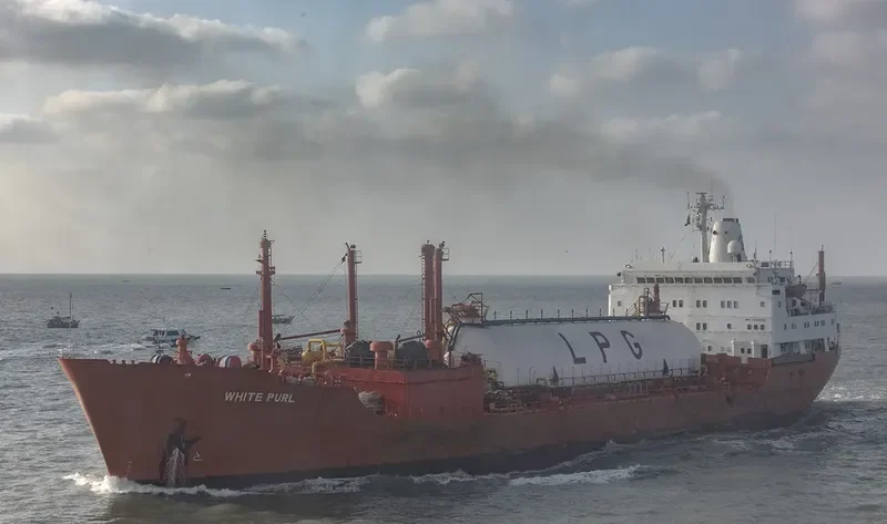 WHITE PURL General Cargo IMO 7230666 photo 7