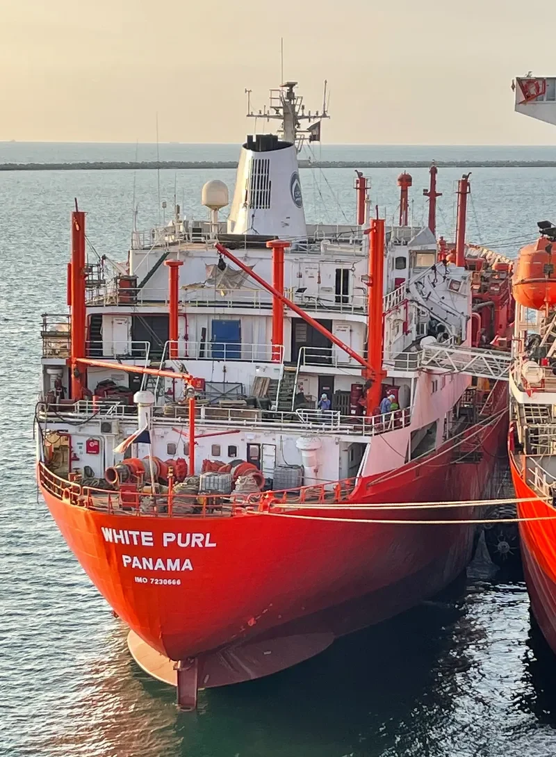 WHITE PURL General Cargo IMO 7230666 photo 8