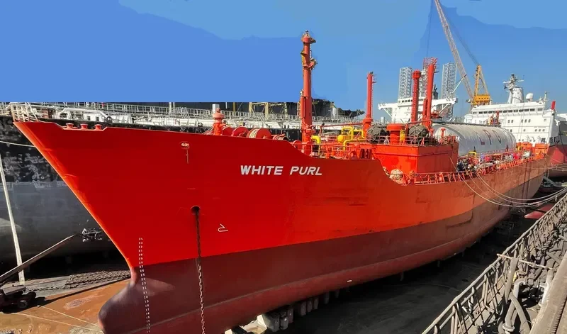 WHITE PURL General Cargo IMO 7230666 photo 9