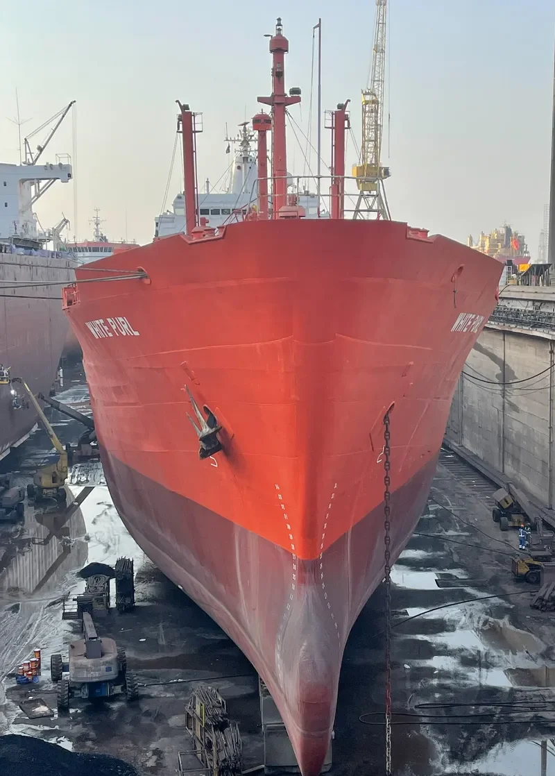WHITE PURL General Cargo IMO 7230666 photo 10